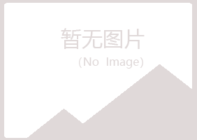 安丘字迹造纸有限公司